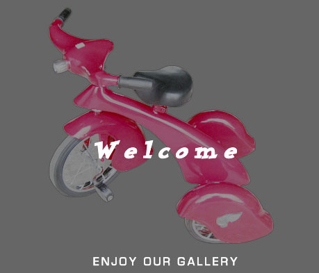 welcome-enjoy our gallery